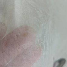 Load image into Gallery viewer, Lola Made in Italy White Butterfly Print Sheer Blouse Size Small